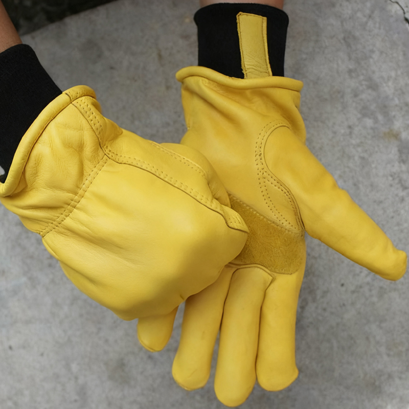 Sarung Tangan Musim Dingin Pri - Winter Glove Insulated ulasan dan harga